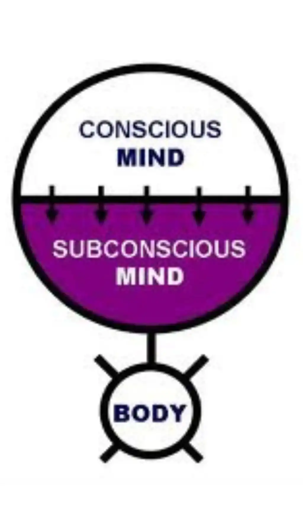 Diagram of conscious and subconscious mind